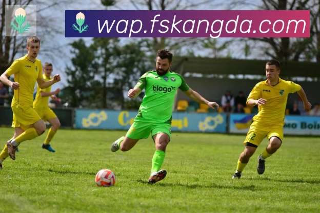 华体网页版登录入口APP 封面图